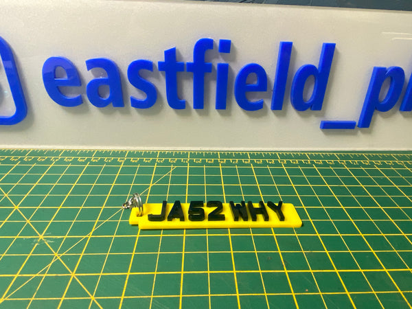 4D Number Plate Keychains